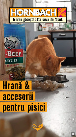 Hornbach - Hrana si accesorii pentru pisici | 28 Octombrie - 28 Noiembrie