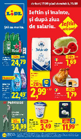 Lidl - Specialitati variate la pret avantajos | 17 August - 23 August